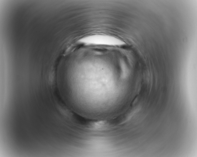 X0000088690092200706211934