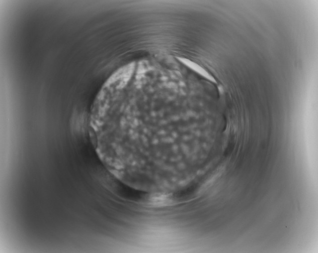 X0000088690093200706211934