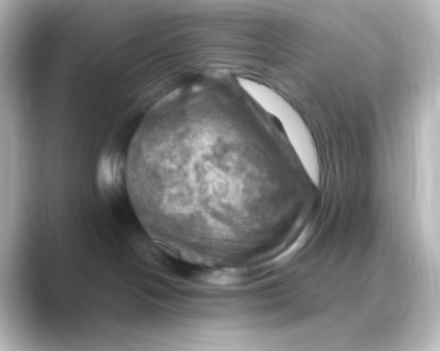 X0000088690094200706211934