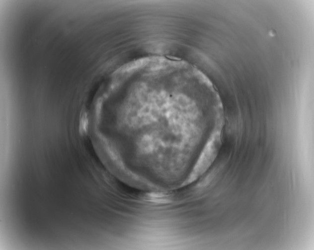 X0000088690095200706211934