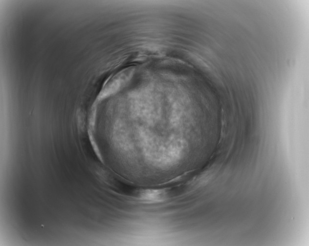 X0000088690096200706211934