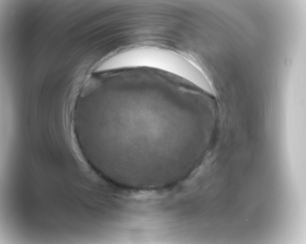 X0000088690097200706211934