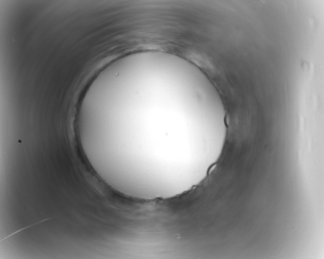 X0000088690098200706211934