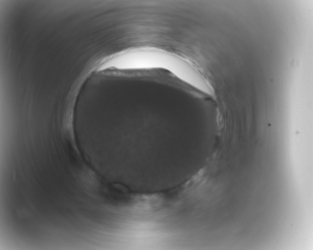 X0000088690099200706211934