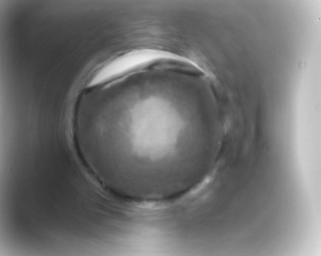 X0000088690101200706211934