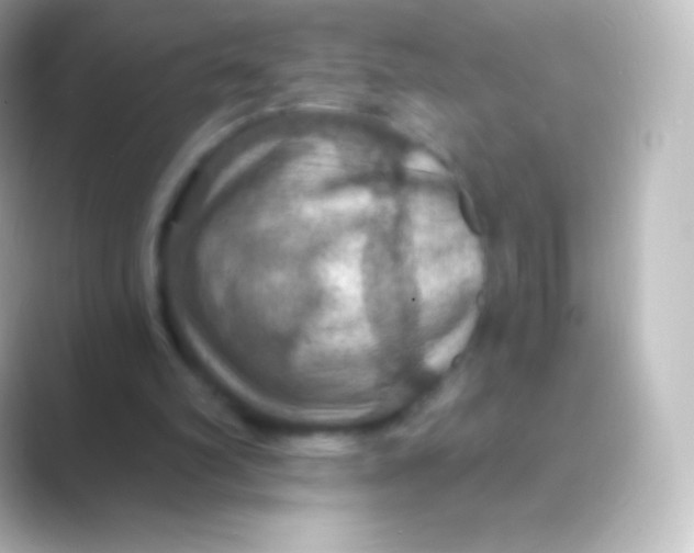 X0000088690102200706211934