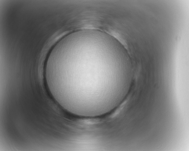 X0000088690103200706211934