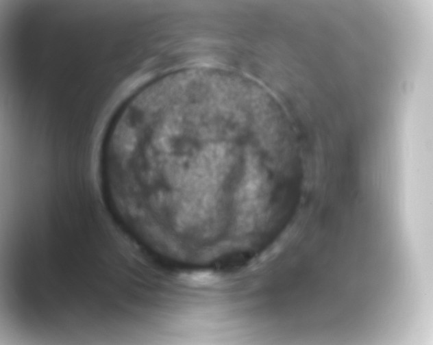 X0000088690104200706211934