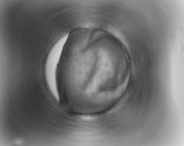 X0000088690105200706211934