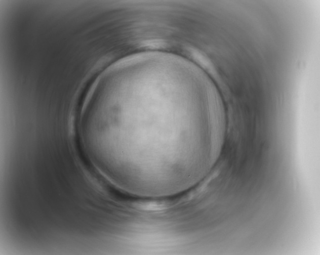X0000088690106200706211934