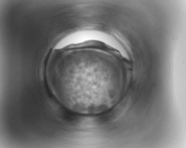 X0000088690107200706211934