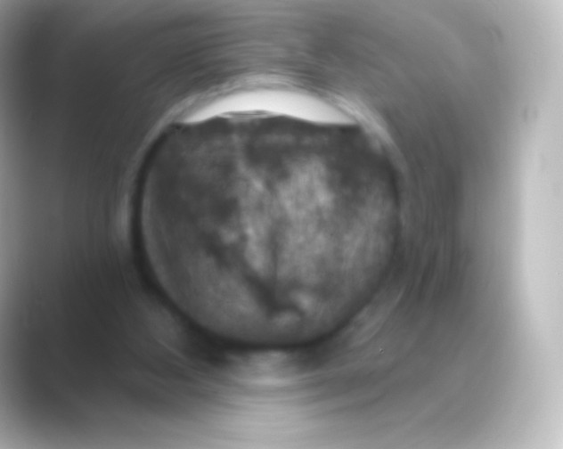 X0000088690108200706211934
