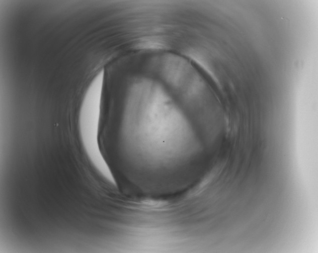 X0000088690109200706211934