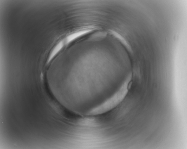 X0000088690110200706211934