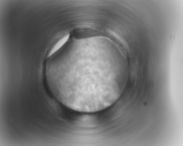 X0000088690111200706211934