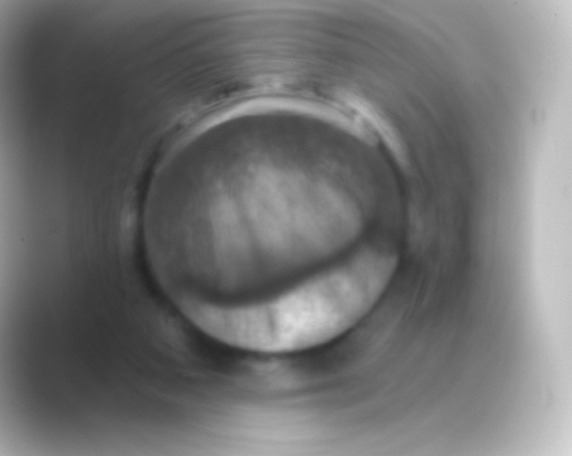 X0000088690113200706211934