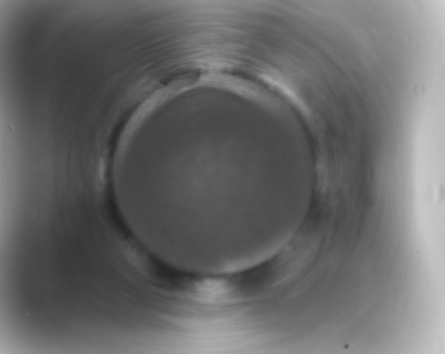 X0000088690114200706211934