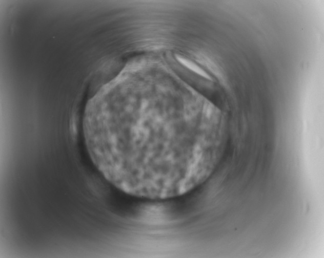 X0000088690115200706211934