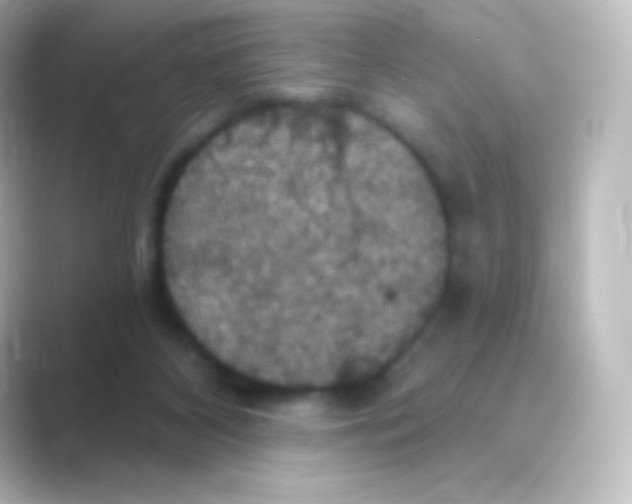 X0000088690116200706211934