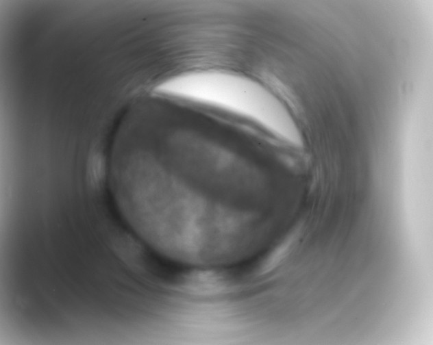 X0000088690117200706211934