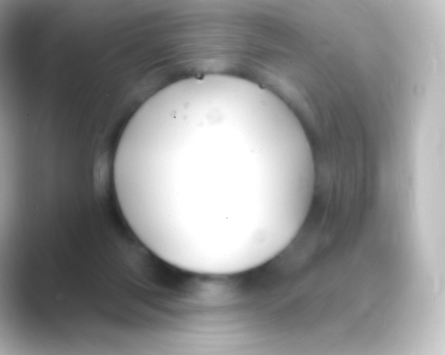 X0000088690118200706211934