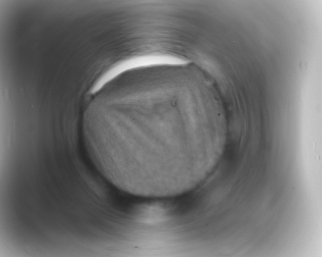 X0000088690120200706211933