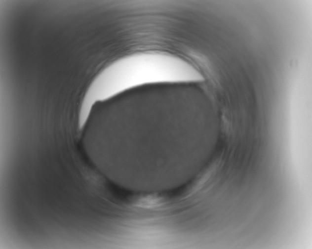 X0000088690121200706211933