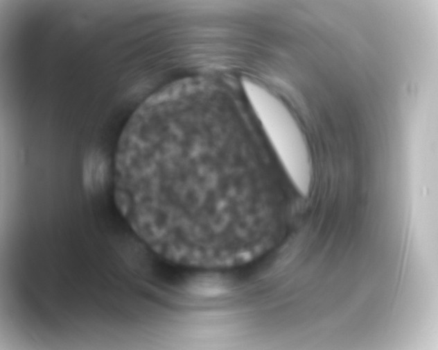 X0000088690123200706211933