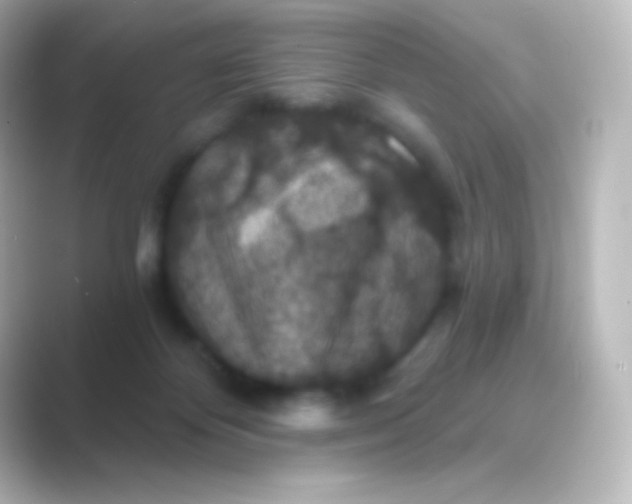 X0000088690124200706211933