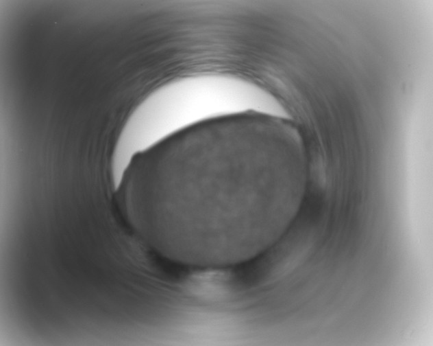 X0000088690125200706211933