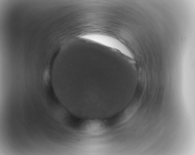 X0000088690127200706211933