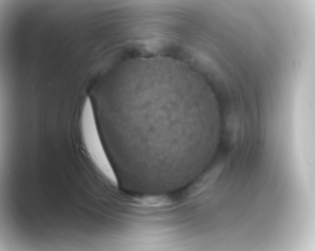 X0000088690129200706211933