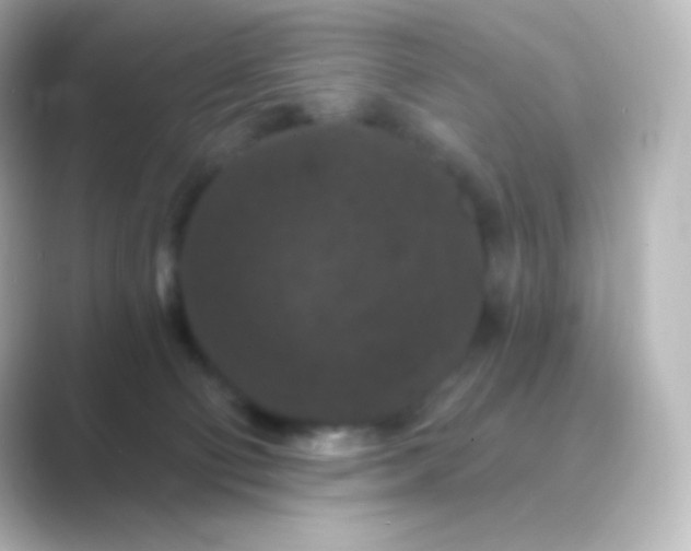 X0000088690130200706211933