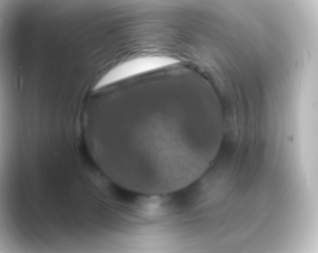 X0000088690131200706211933