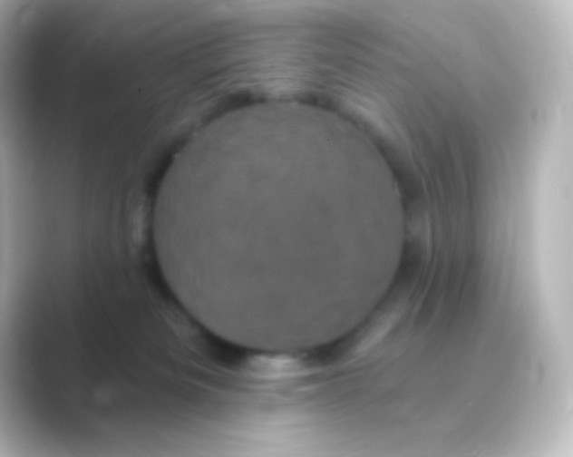 X0000088690133200706211933