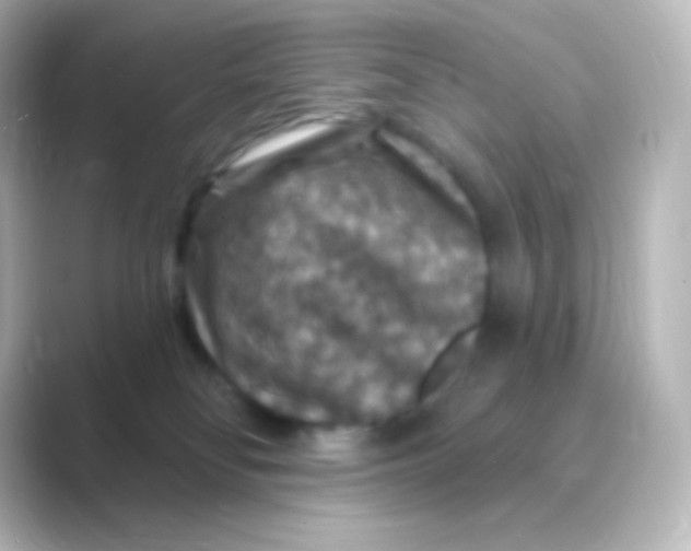 X0000088690134200706211933