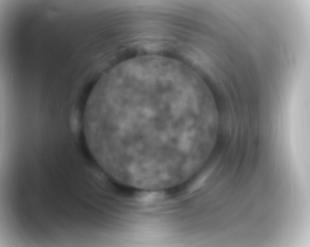 X0000088690135200706211933