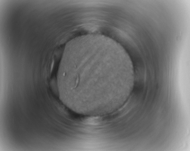 X0000088690136200706211933