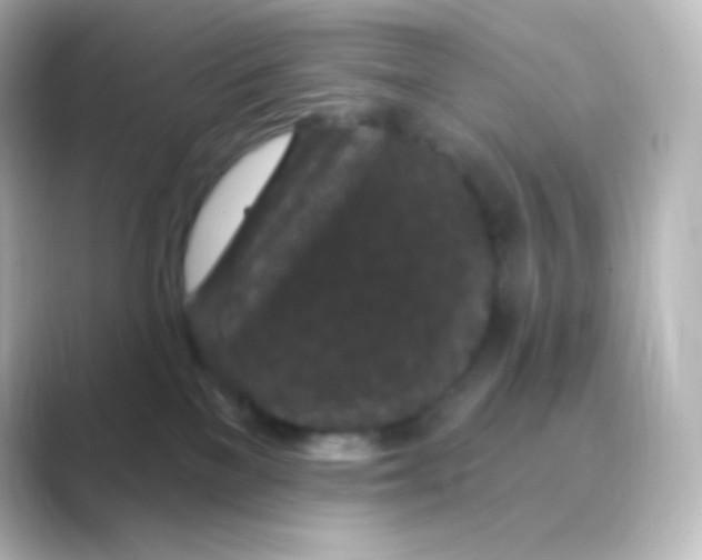 X0000088690137200706211933