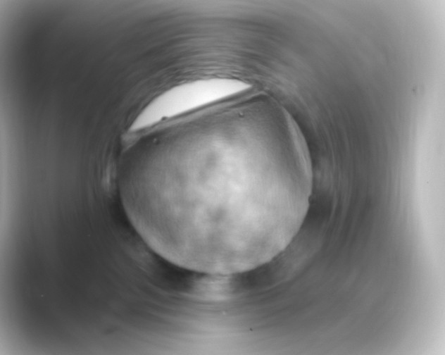 X0000088690138200706211933