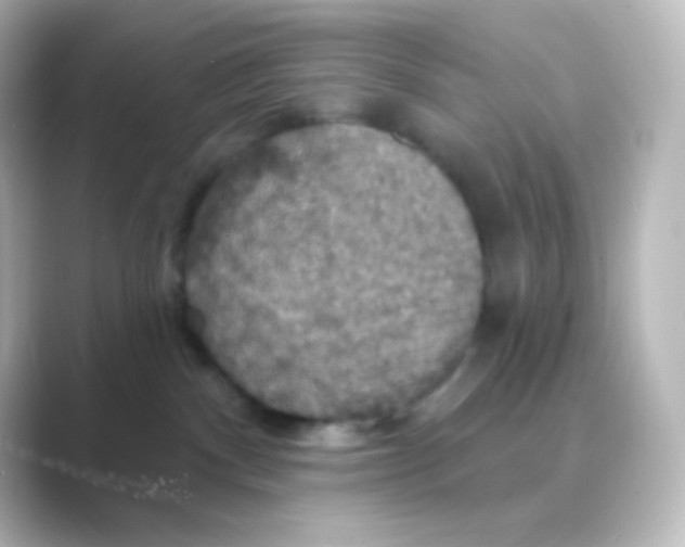 X0000088690140200706211933