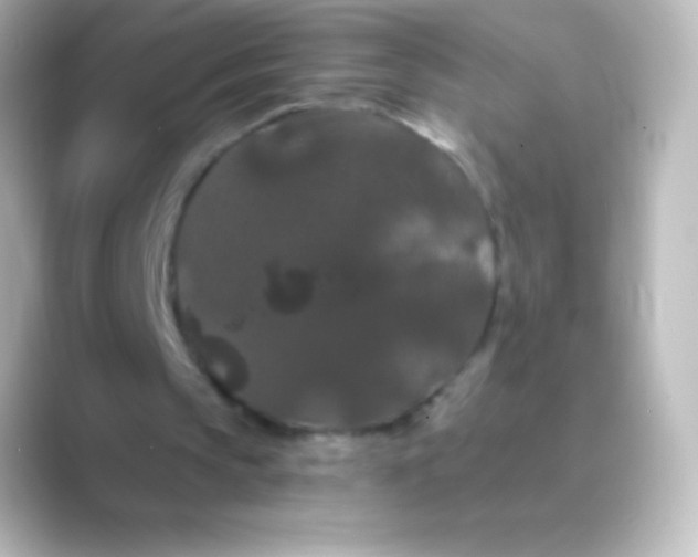 X0000088690145200706211933