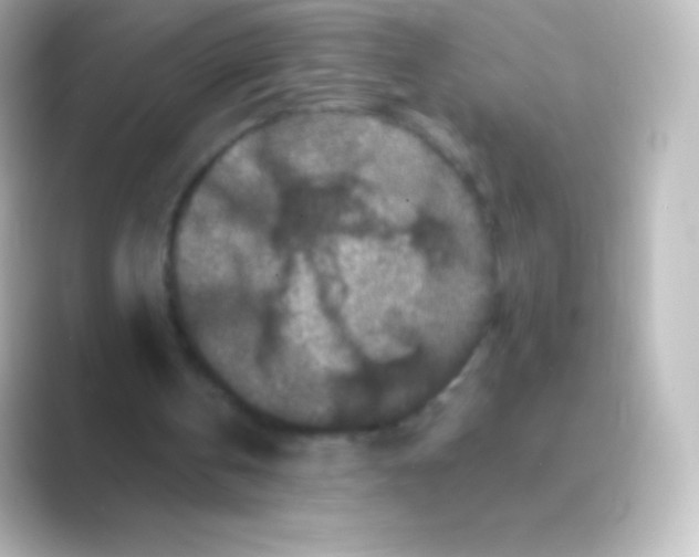 X0000088690146200706211933