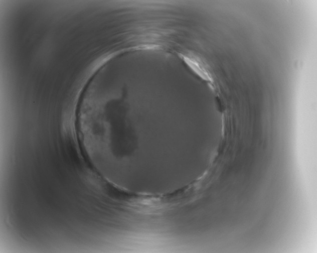 X0000088690147200706211933
