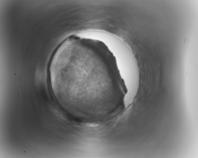 X0000088690148200706211933