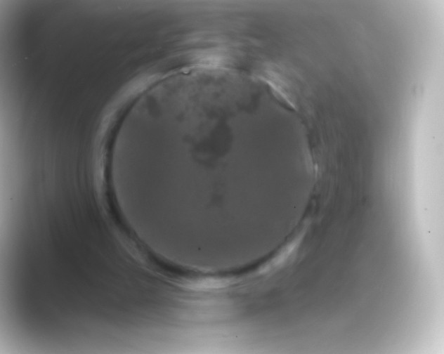 X0000088690149200706211933