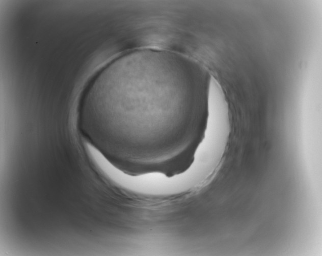X0000088690150200706211933