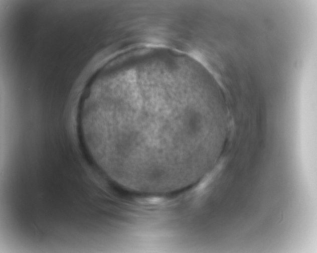 X0000088690151200706211933