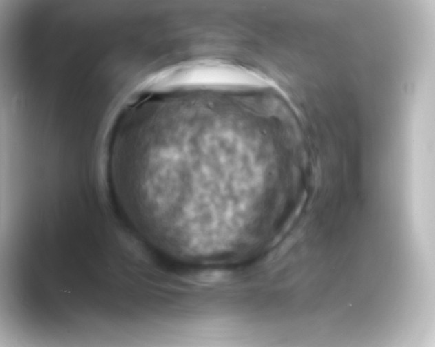 X0000088690152200706211933