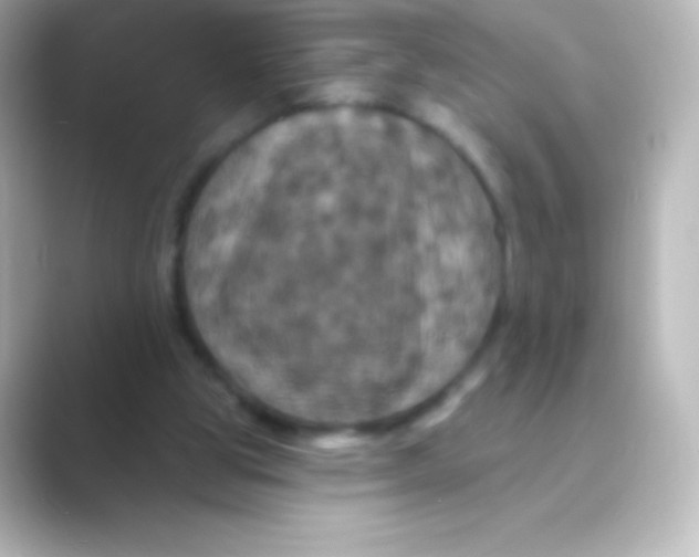 X0000088690153200706211933
